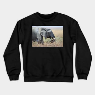 African Elephant Portrait, Serengeti, Tanzania. Crewneck Sweatshirt